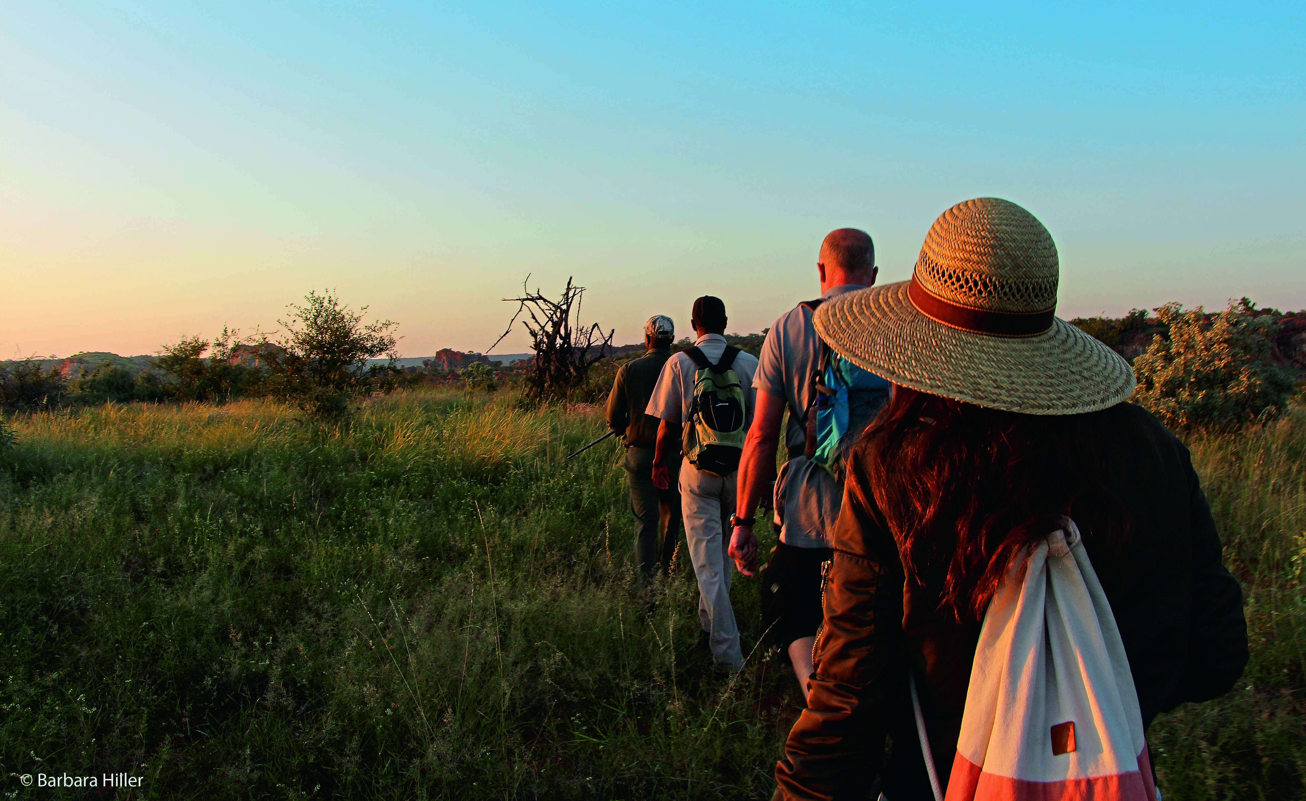 Landschaft in Limpopo