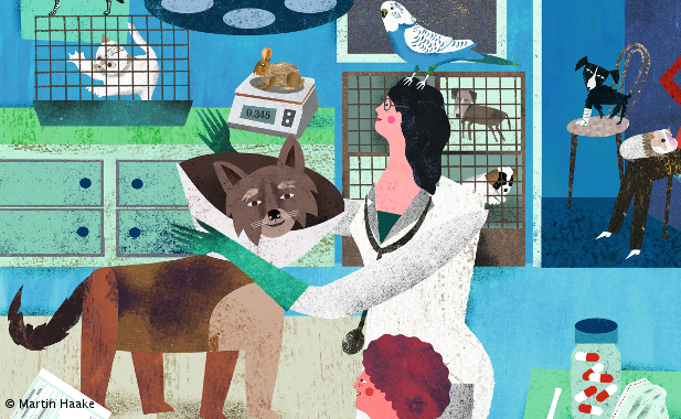 At the vet's