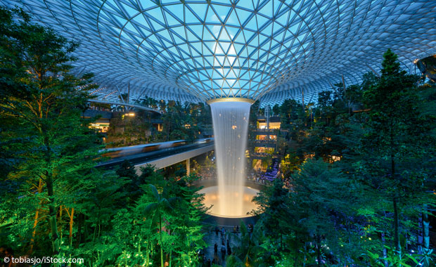 Changi Airport, butterfly enclosure