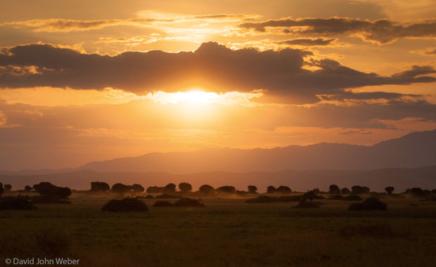 Queen Elizabeth National Park