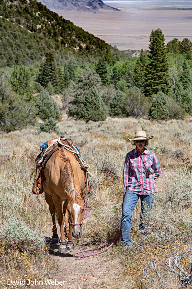 A local rider enjoys the wild trails of  Great Basin National Park, Nevada