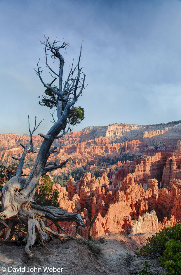 The red, rugged beauty of  Bryce Canyon in Utah