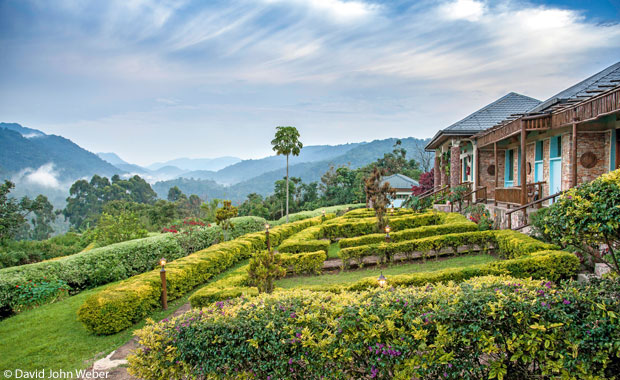 Silverback Lodge at  Bwindi Impenetrable Forest