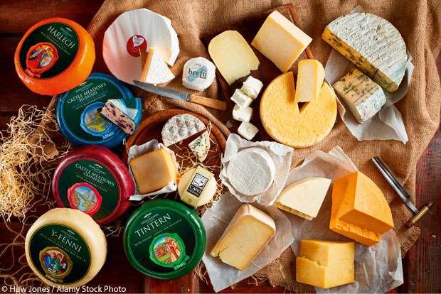 Selection of cheese