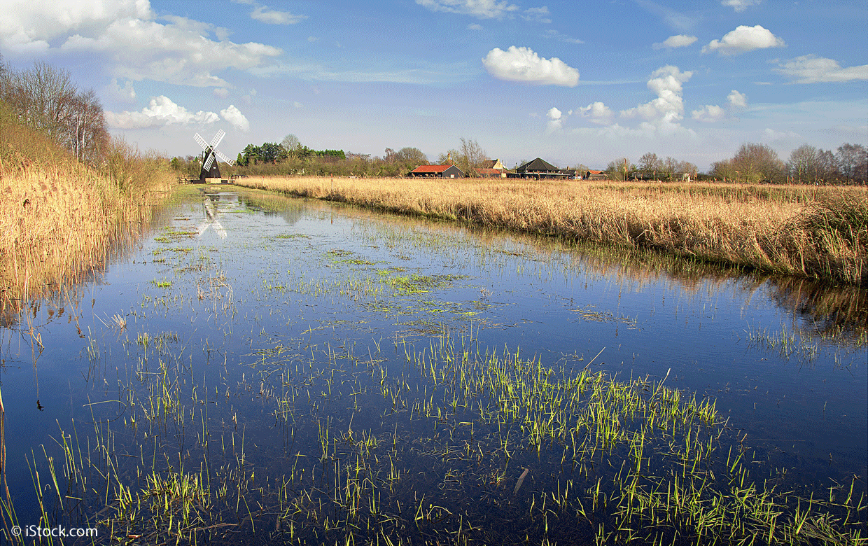 Fenlands