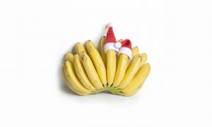 Bananen mit Weihnachtshut