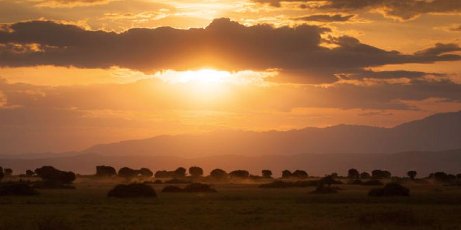 Queen Elizabeth National Park