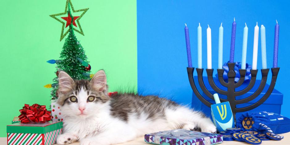 Katze auf Tisch mit Weihnachts- und Hanukkah-Symbolen