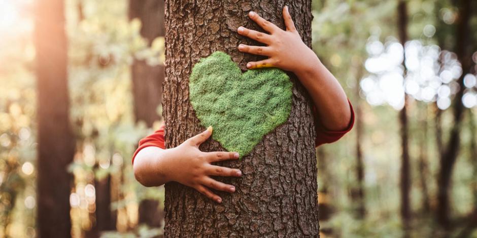 close up of child hands hugging tree