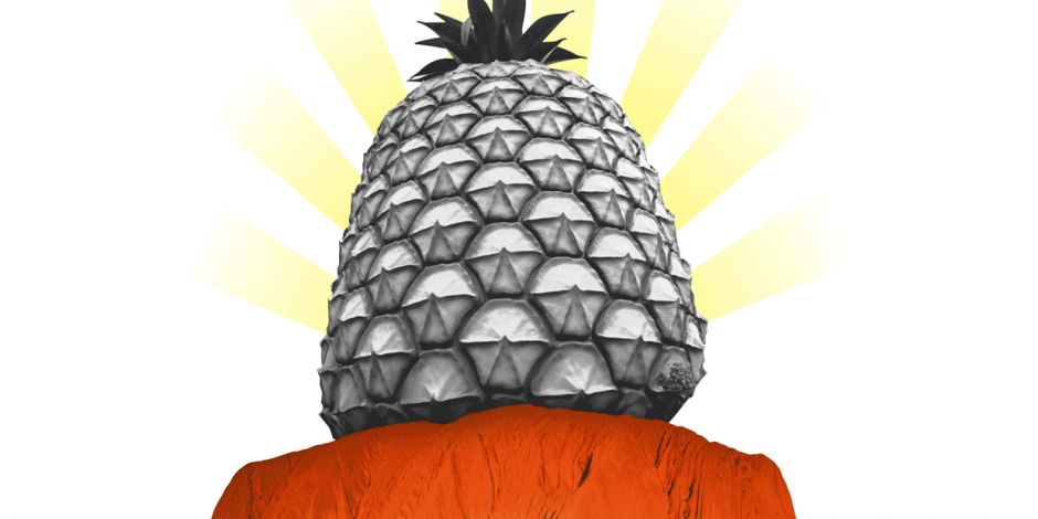 Collage: Ananas auf Felsen