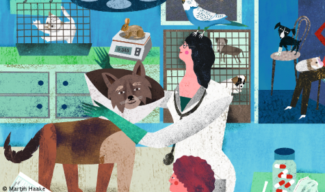 At the vet's