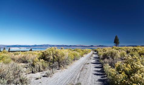 Extraterrestrial Highway