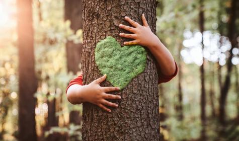 close up of child hands hugging tree
