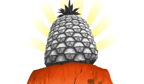 Collage: Ananas auf Felsen