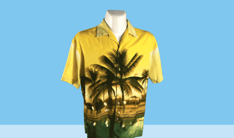 Hawaii-Hemd